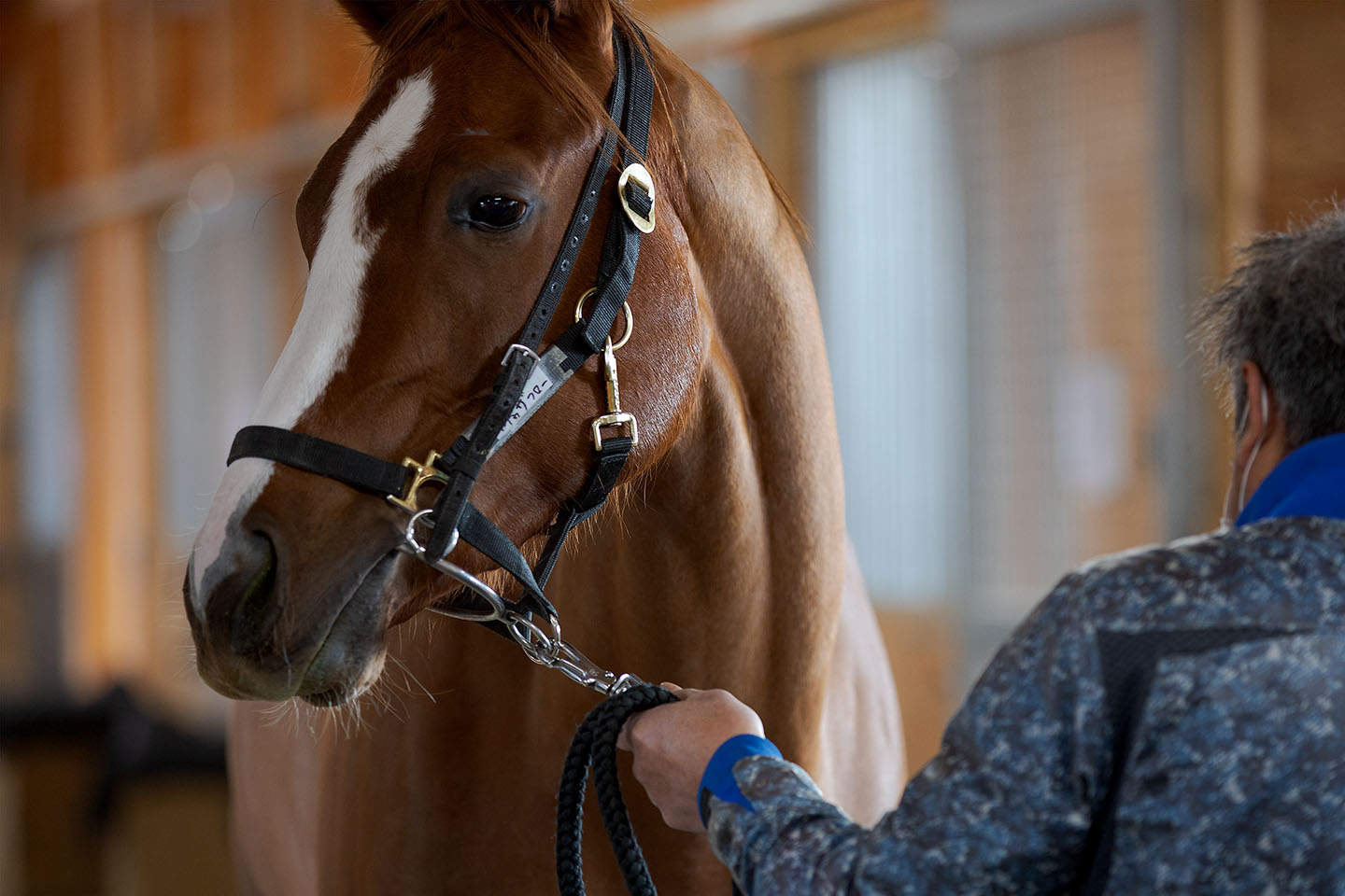 LIO.RCギャラリー【イメージ No.2】page-visual LIO.RCギャラリー【イメージ No.2】ビジュアル