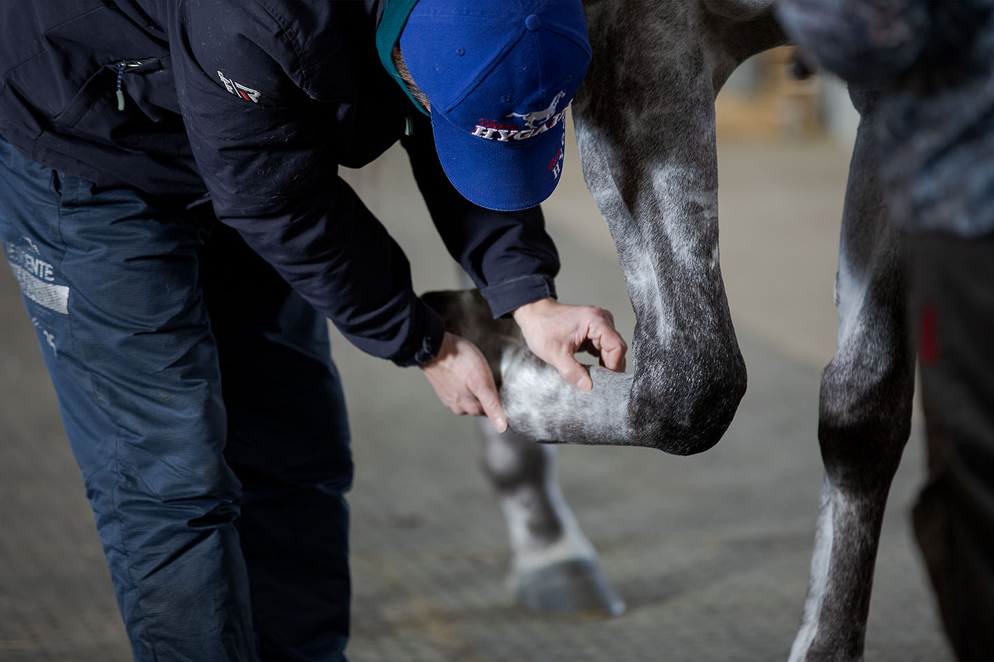 LIO.RCギャラリー【イメージ No.3】page-visual LIO.RCギャラリー【イメージ No.3】ビジュアル