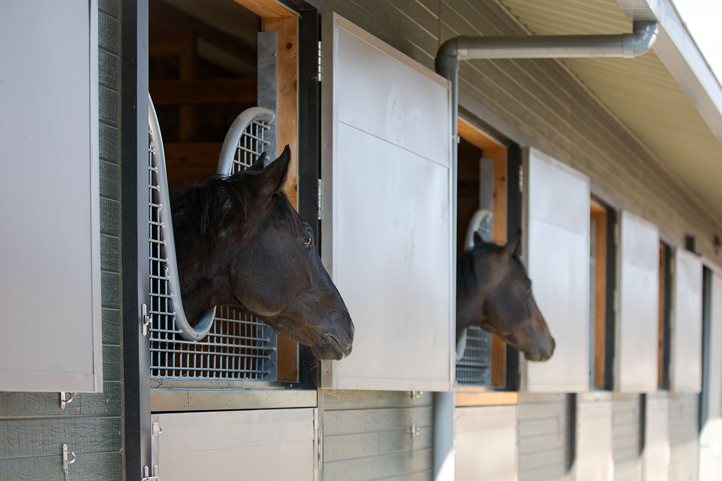 LIO.RCギャラリー【イメージ No.4】page-visual LIO.RCギャラリー【イメージ No.4】ビジュアル