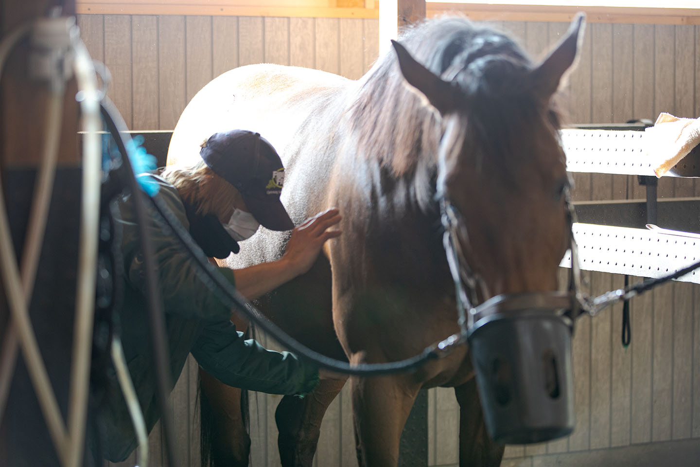 LIO.RCギャラリー【イメージ No.6】page-visual LIO.RCギャラリー【イメージ No.6】ビジュアル