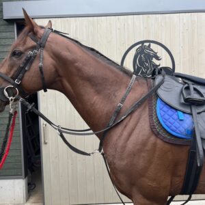 HEAD UPER（ヘッドアッパー）馬具装着の馬